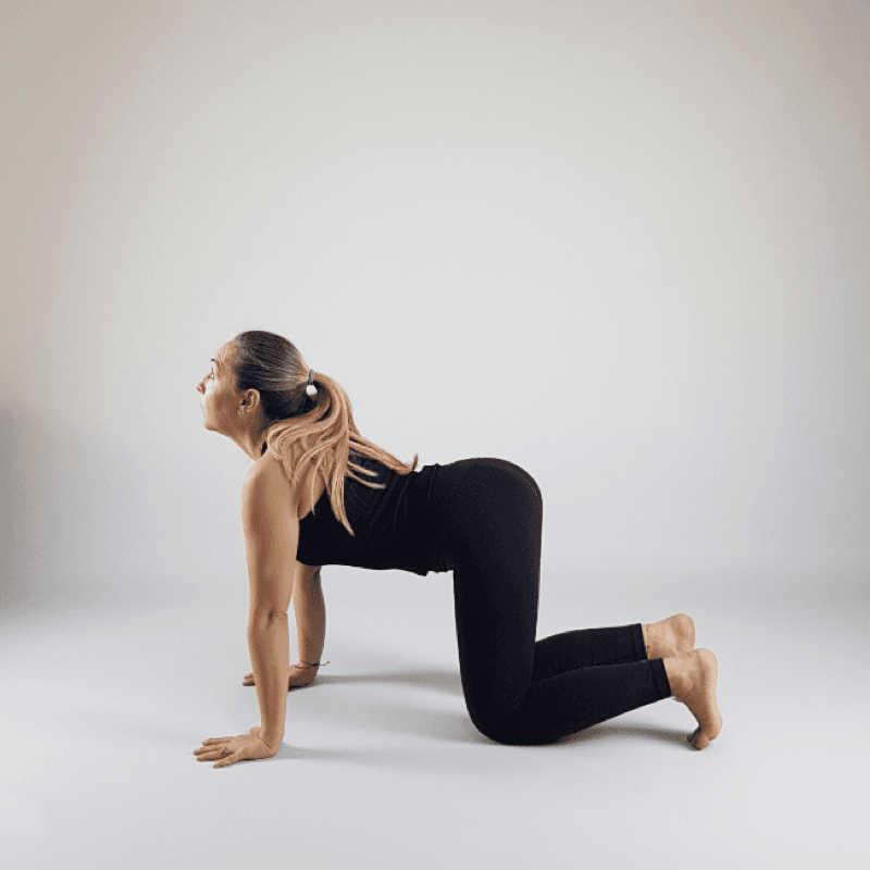 Yoga practitioner in Cow Pose with chest lifted and belly dropping