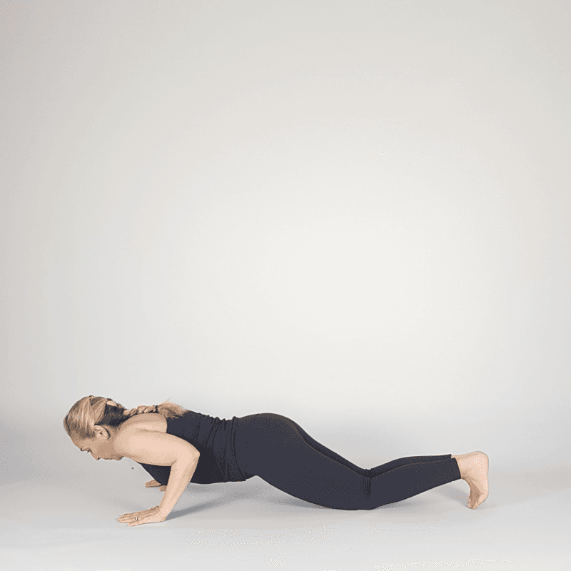 Low Chaturanga