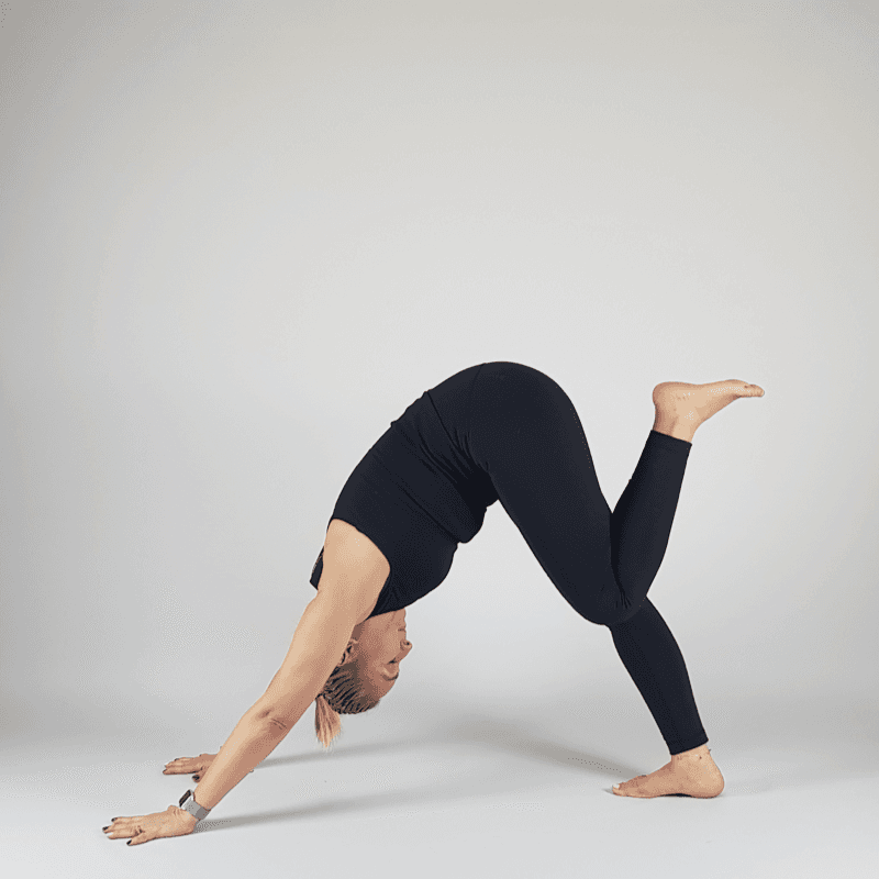 Three-Legged Downward Dog