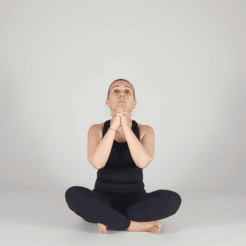 Seated Chin Lift