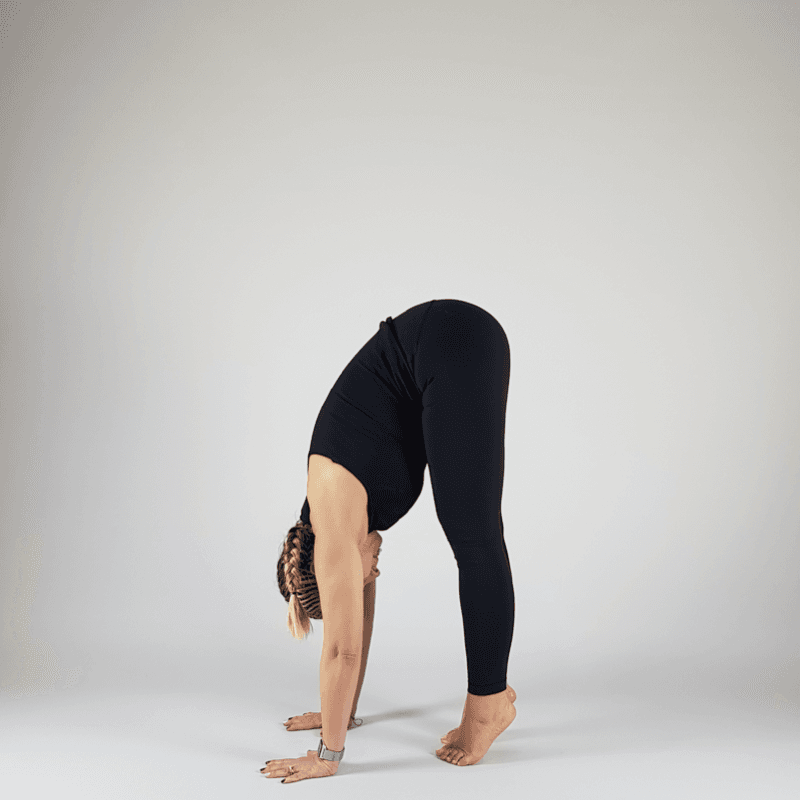 Yoga practitioner in intense forward fold with torso completely on legs
