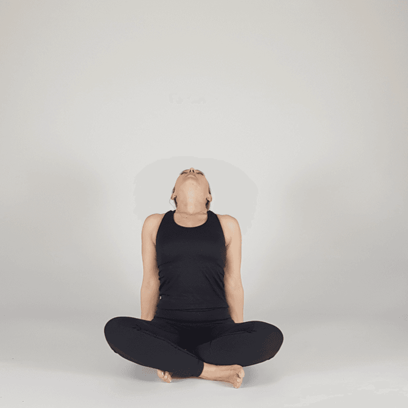 Seated Heart Opener