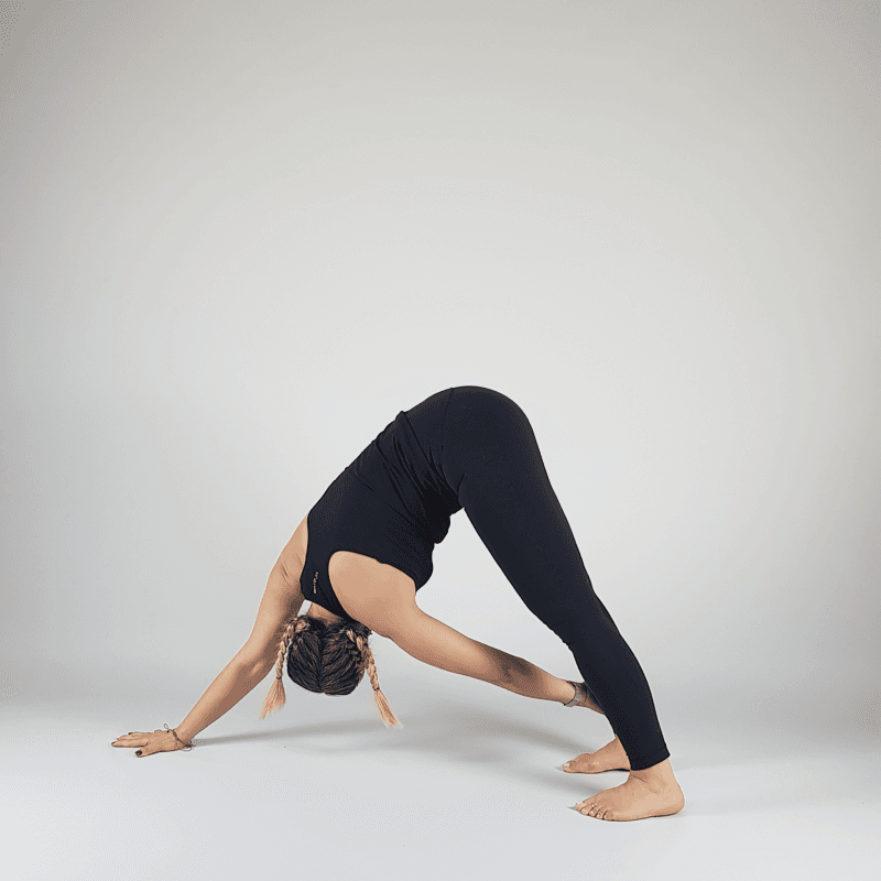 Downward Dog Twist