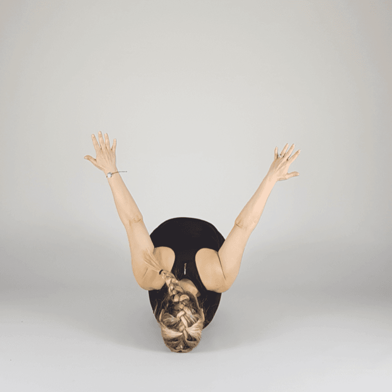 Seated Forward Fold with Open Arms