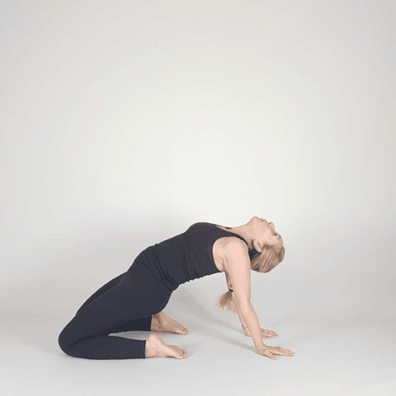Yoga practitioner in deep Camel Pose with hands reaching toward floor.