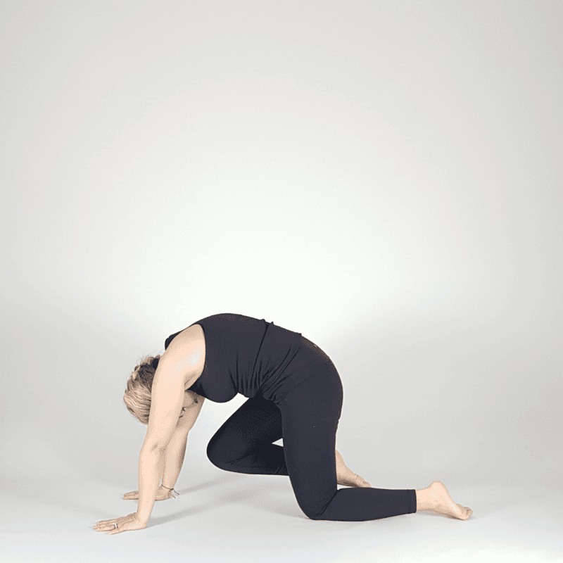 Yoga practitioner in deep Cat Pose variation with weight shifted back