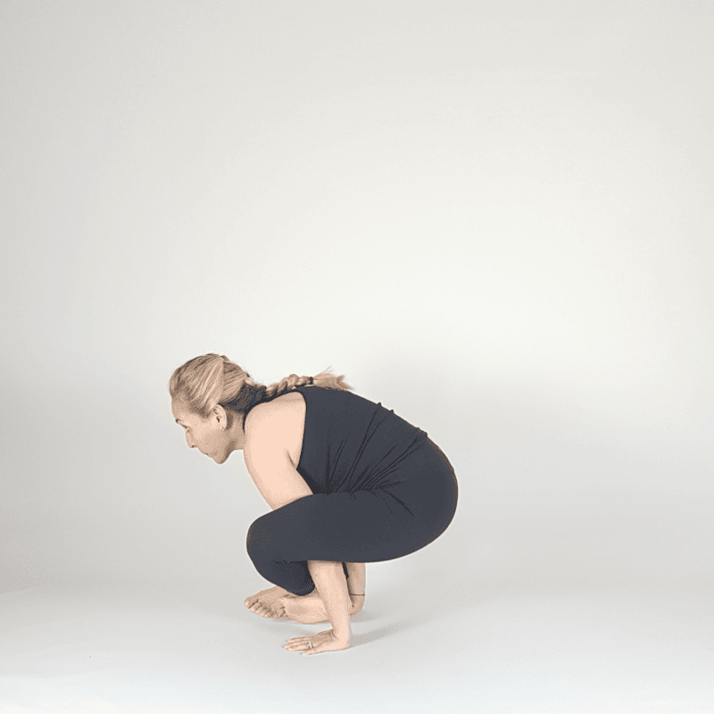 Crow Pose Variation