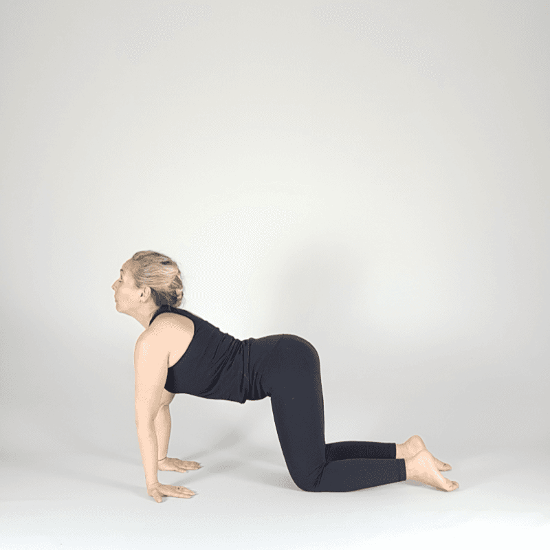 Yoga practitioner holding Cow Pose variation with deep chest opening