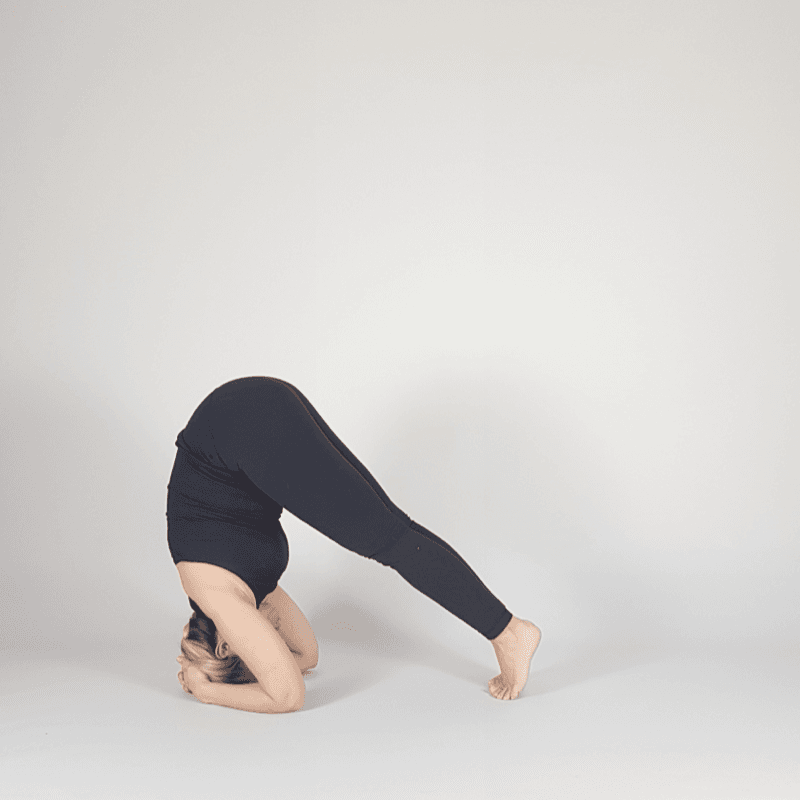 Yoga practitioner lifting one leg in Dolphin Pose.
