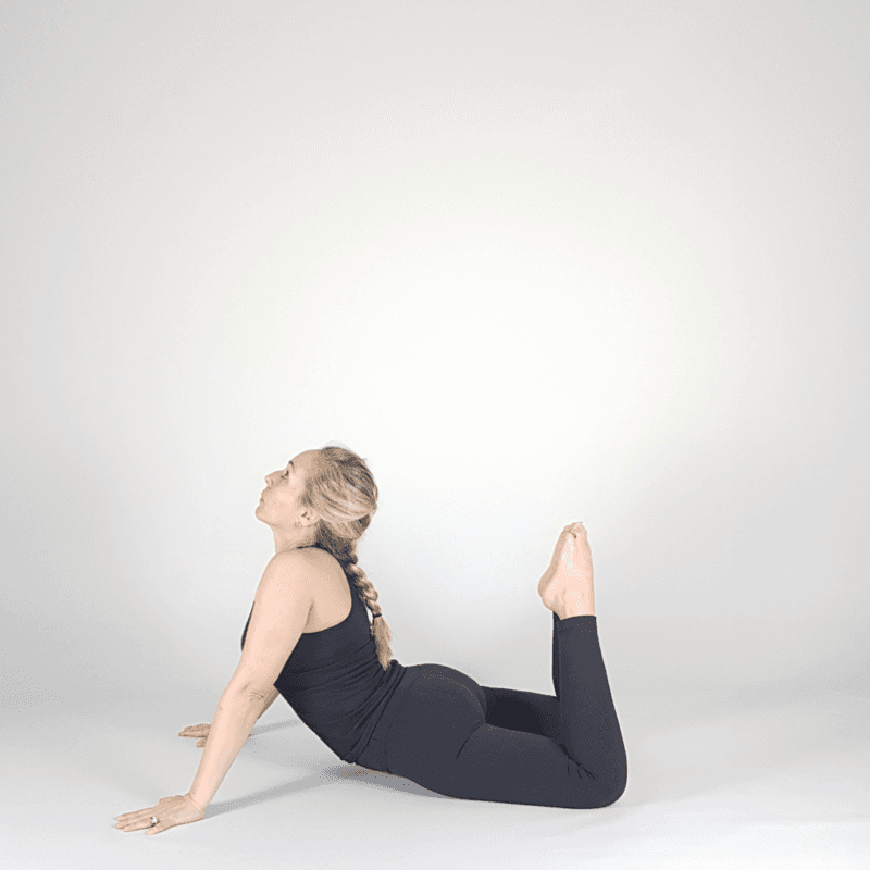 Prone Backbend Prep