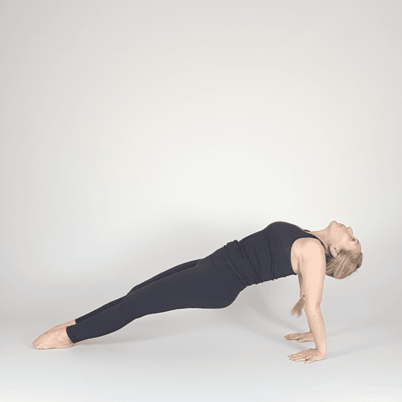 Reverse Plank