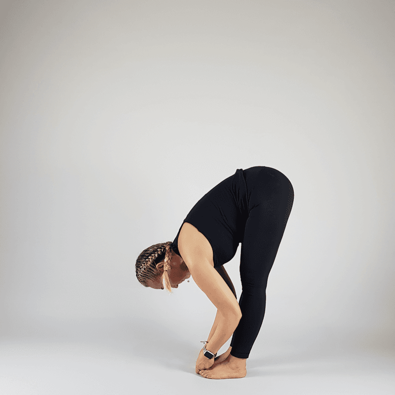 Hands to Floor Fold