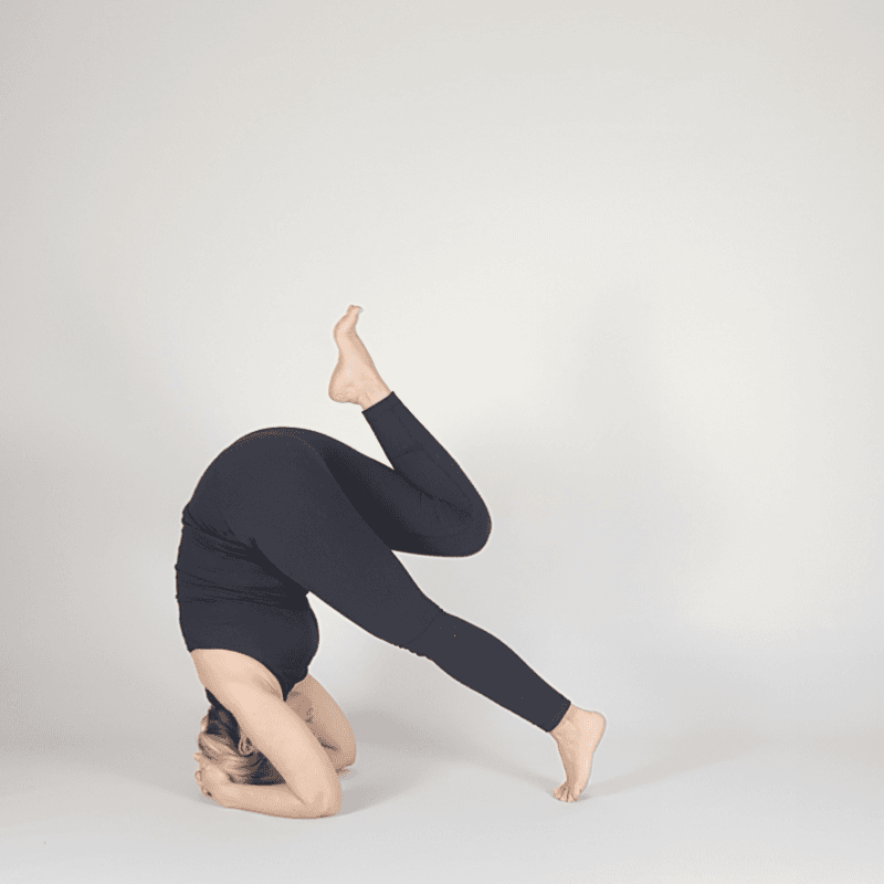 Yoga practitioner practicing Headstand prep with bent knees.