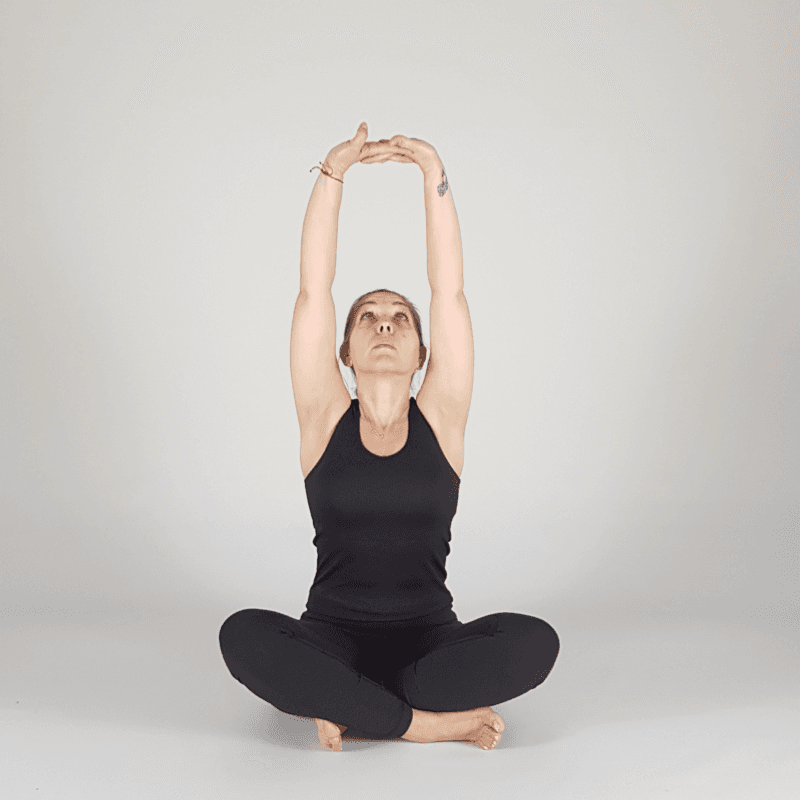 Seated Arm Lift