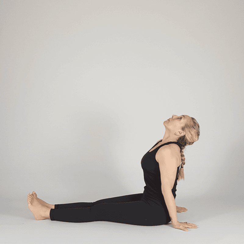 Staff Pose with Chest Opening