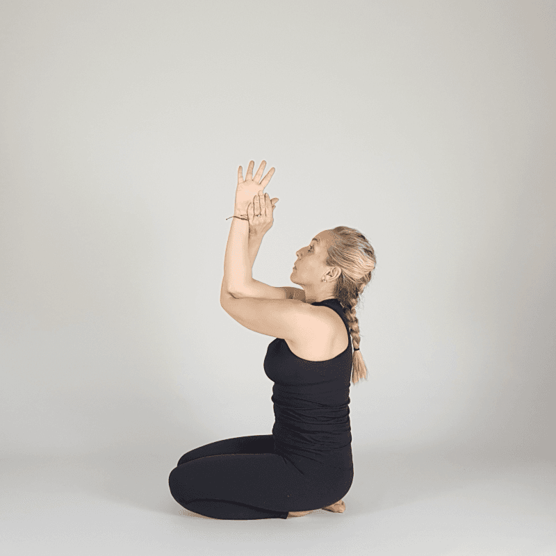Seated Hands Up Mudra