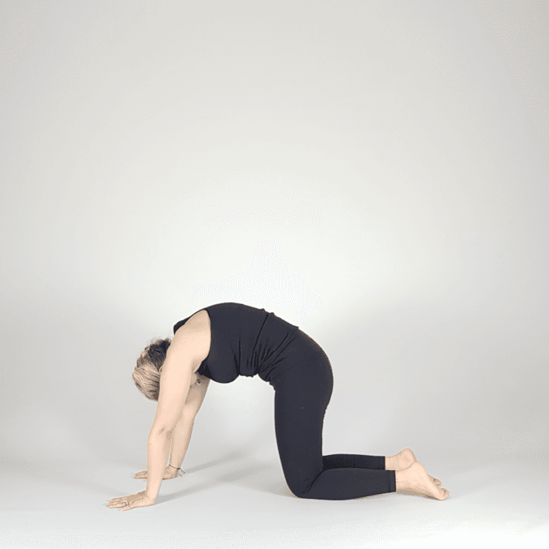 Yoga practitioner in Cat Pose with spine rounded toward ceiling
