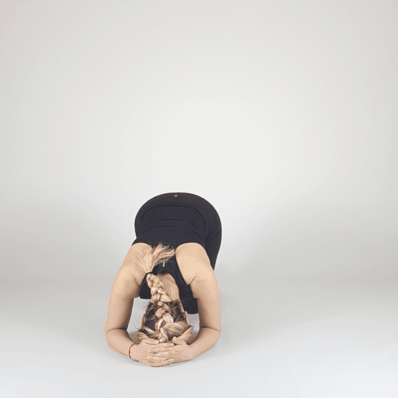 Dolphin Pose