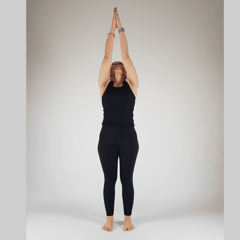 Upward Salute with palms together overhead.